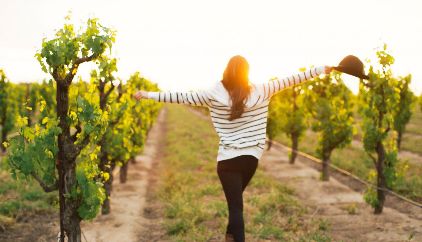 Texas Wine Tours Fredericksburg TXX